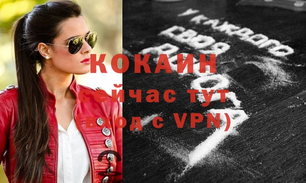прущие грибы Касимов