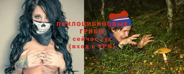 PSILOCYBIN Каменск-Шахтинский
