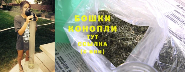 PSILOCYBIN Каменск-Шахтинский