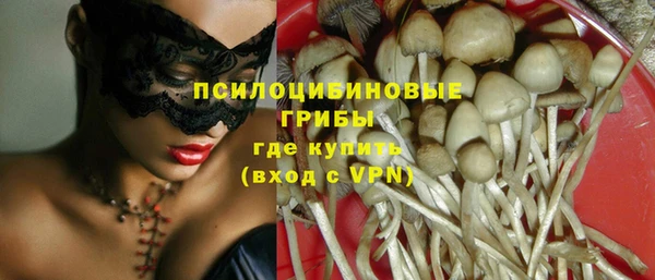PSILOCYBIN Каменск-Шахтинский