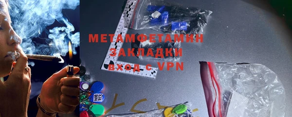 прущие грибы Касимов
