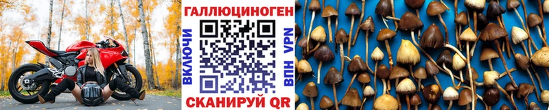 Купить закладки  Дудинка  Галлюциногенные грибы мицелий 